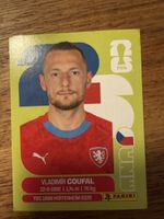 Panini Fifa CZE 5