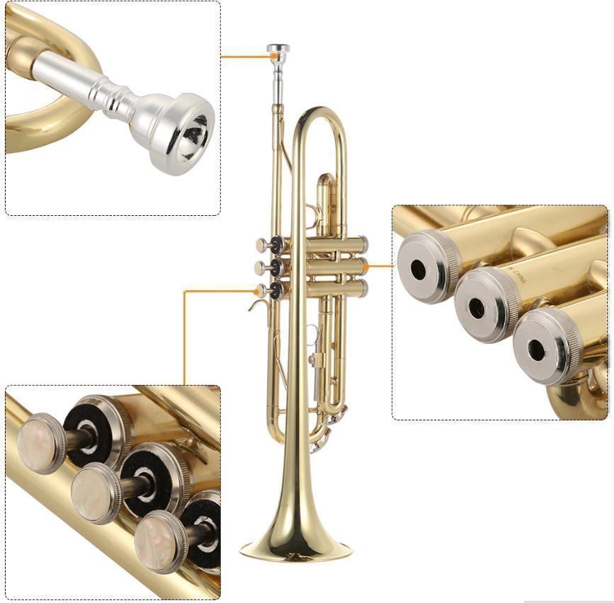 Strumenti musicali: Trompete Bb Flach Messing Gold-gemalt – Nuovo (secondo la descrizione) da Chur venduto da elektronikmarkt 5