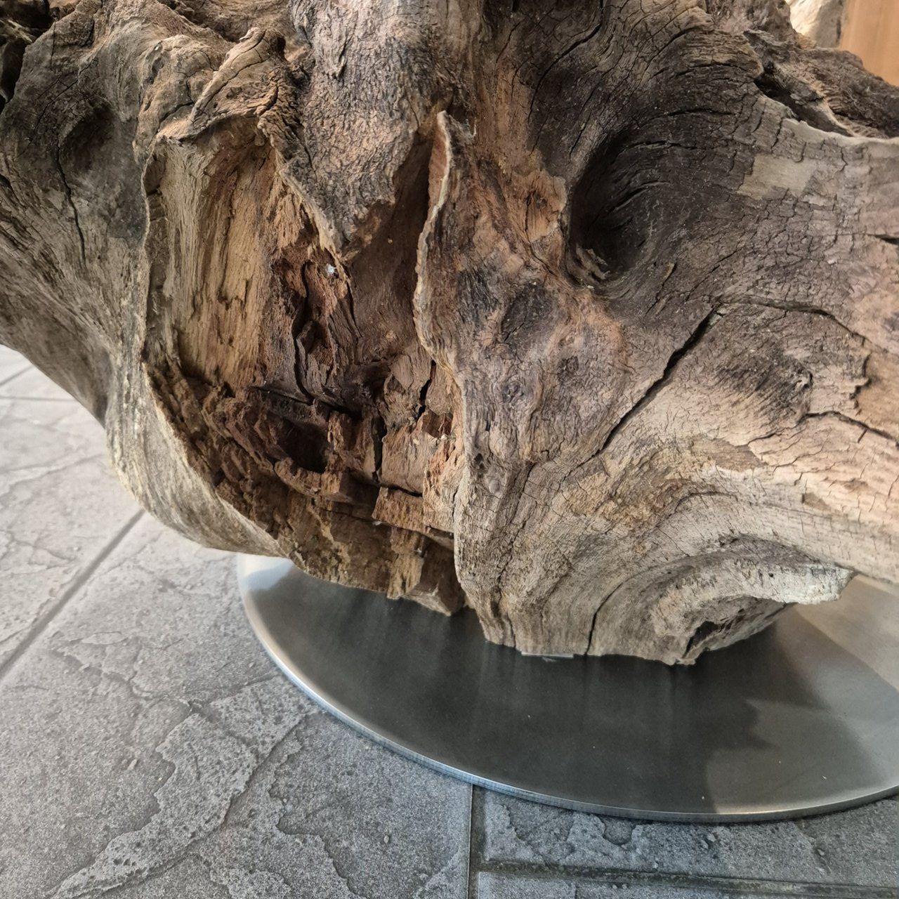 Tables: Salontisch aus Baumstrunk mit Glasplatte – Neuf (Voir description) à Ottenbach par WoodGallery 8