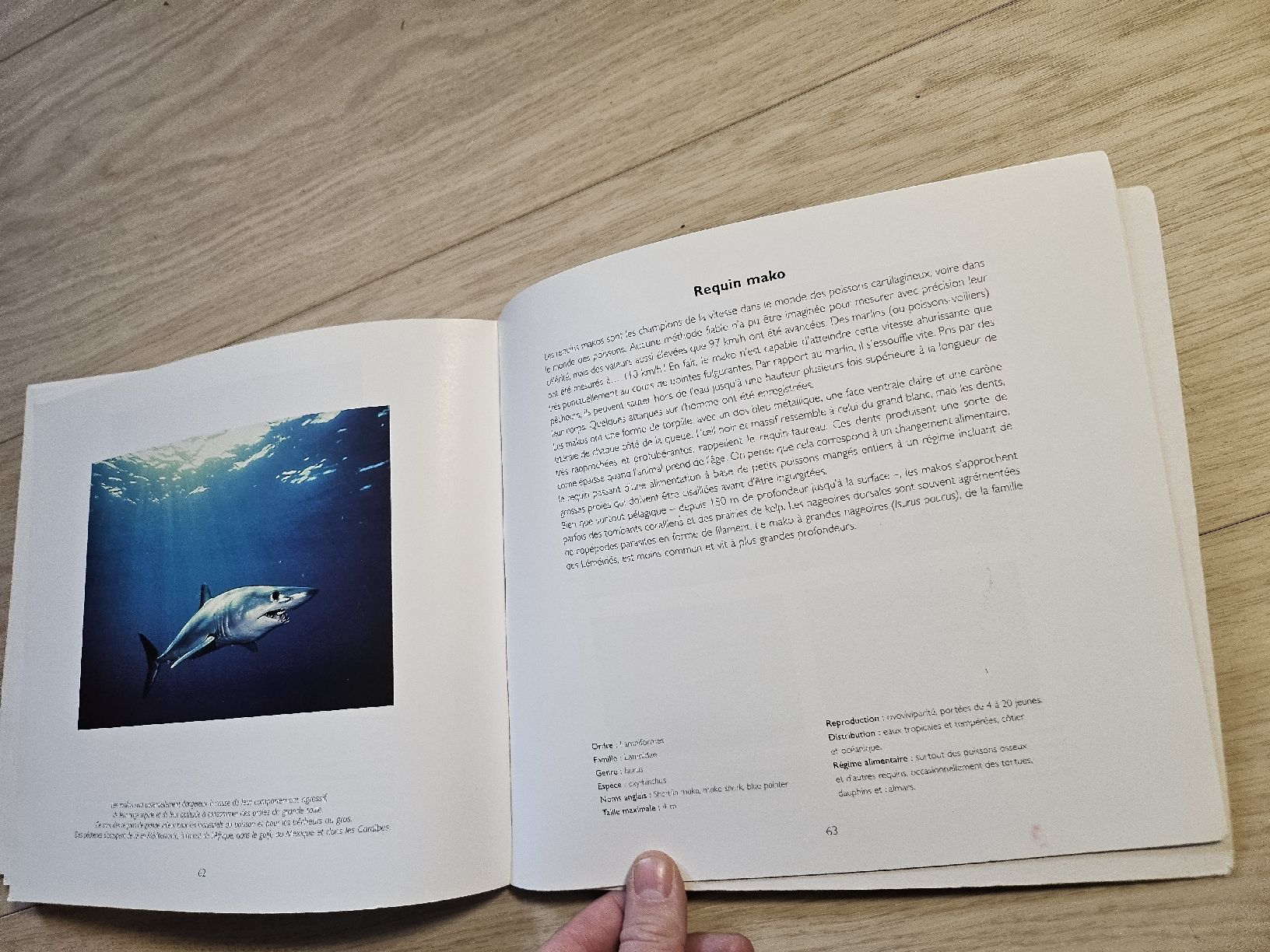 Bücher: Livre Requins Doug Perrine Nathan – Gebraucht aus La Joux FR von car_ck96 4