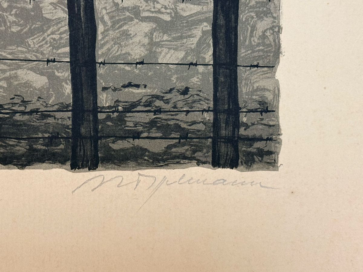 Grafica & Litografie: Lithographie- signiert 50x32.5cm – Usato da Solothurn venduto da NUVICO 3