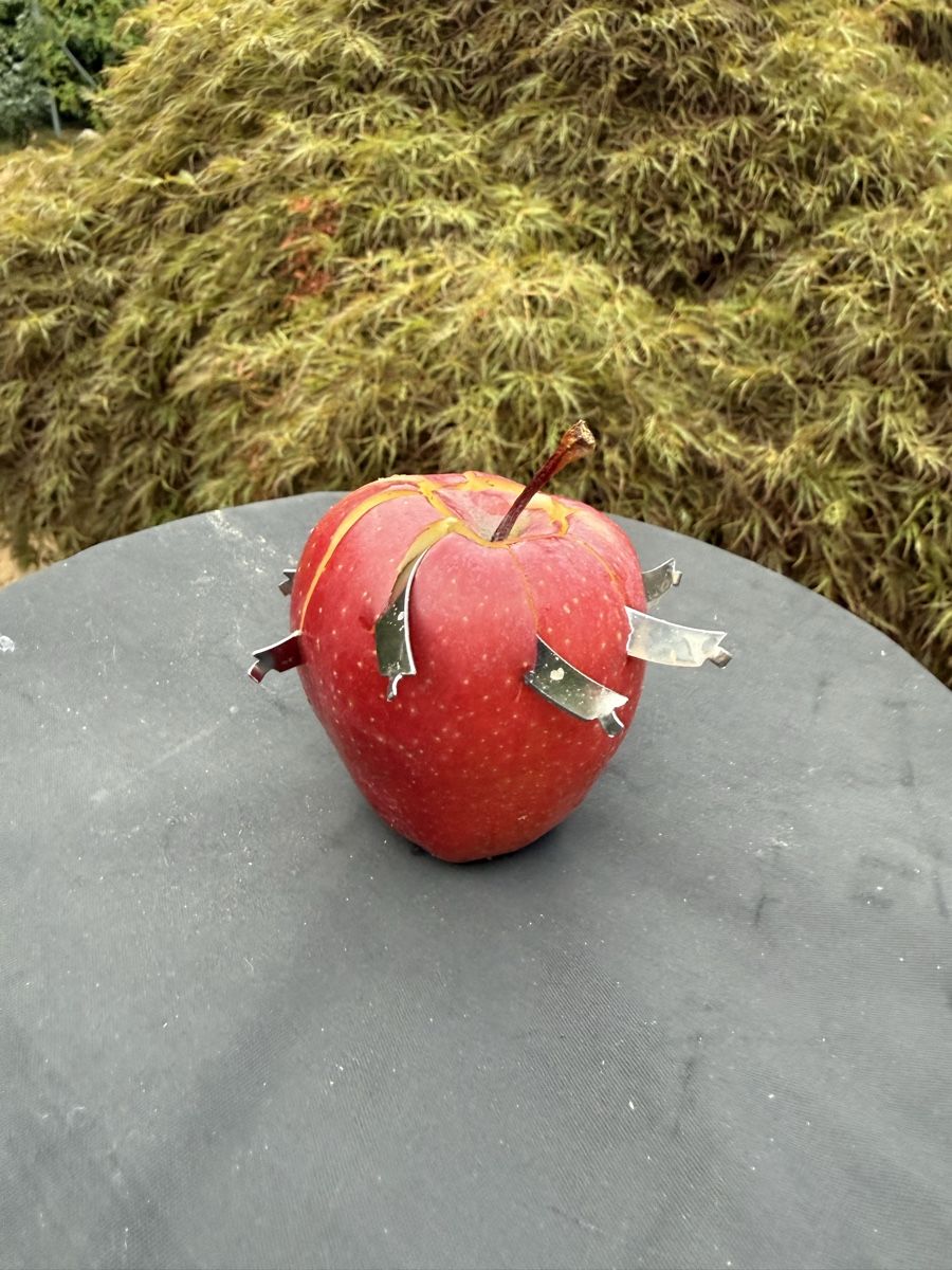 Alle Dekorationen: Pomme décorative artisanale objet insolite collection unique – Neu (gemäss Beschreibung) aus Estavayer-le-lac von Verm1470 4