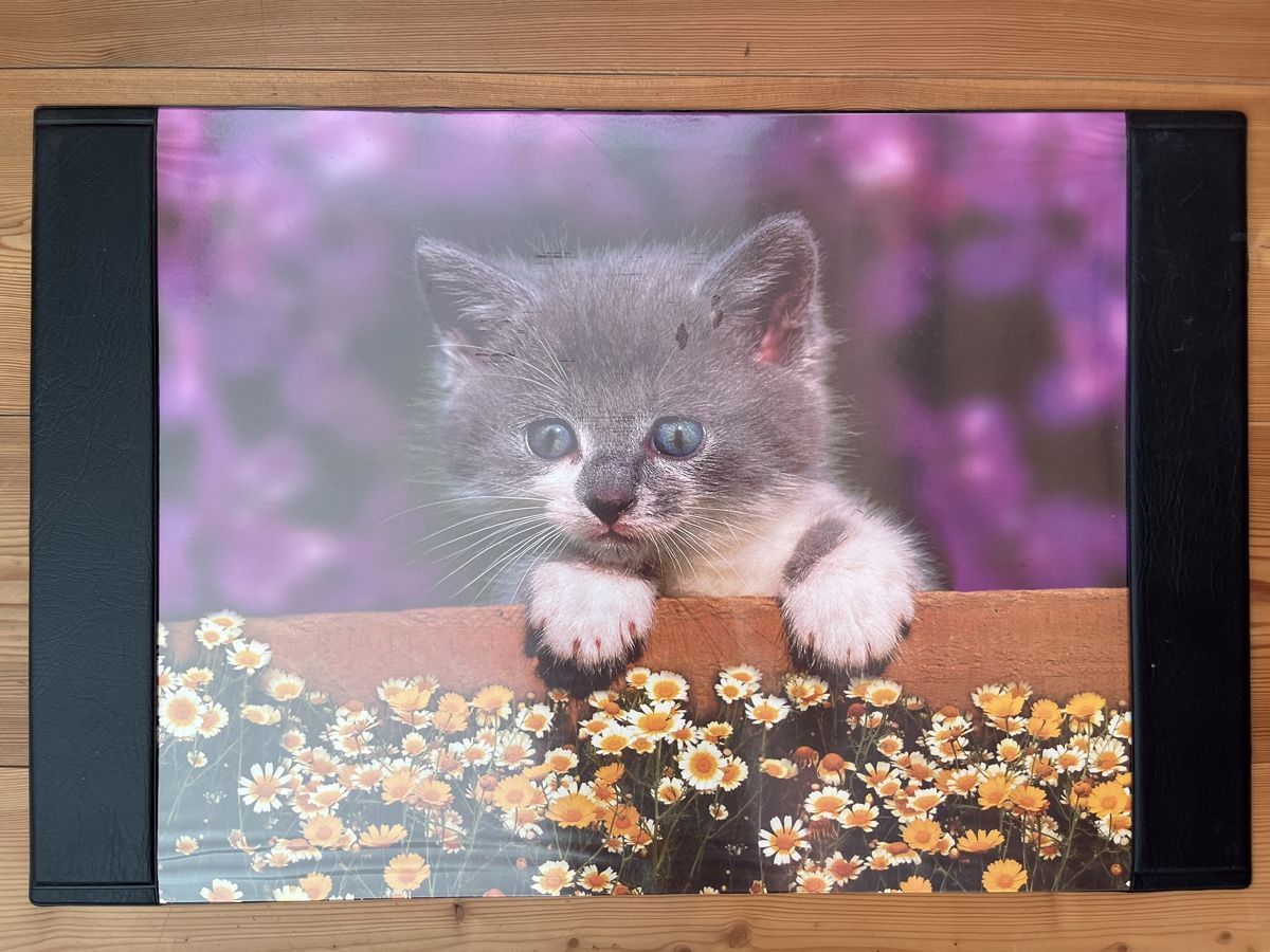 Foto & Immagini: Schreibunterlage mit Katzenbild – Nuovo (secondo la descrizione) da Dietikon venduto da na_129