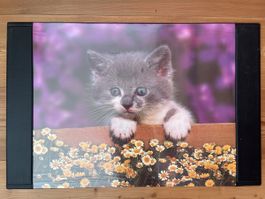 Schreibunterlage mit Katzenbild