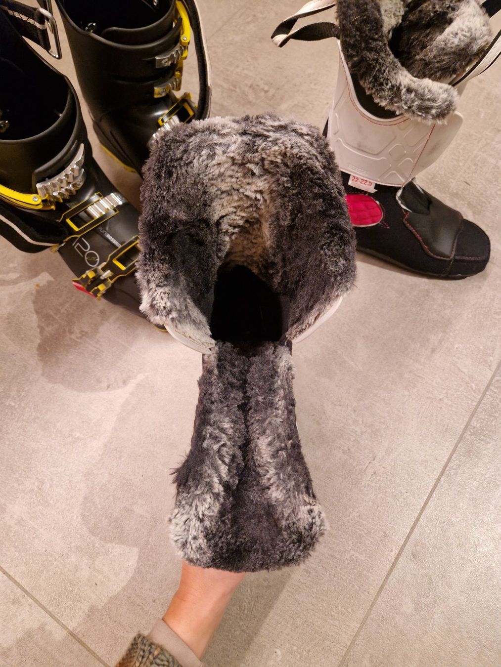 Rossignol Scarpe da donna: Chaussure de Ski Rossignol – Nuovo (secondo la descrizione) da Le Châble VS venduto da tif_9sny 5