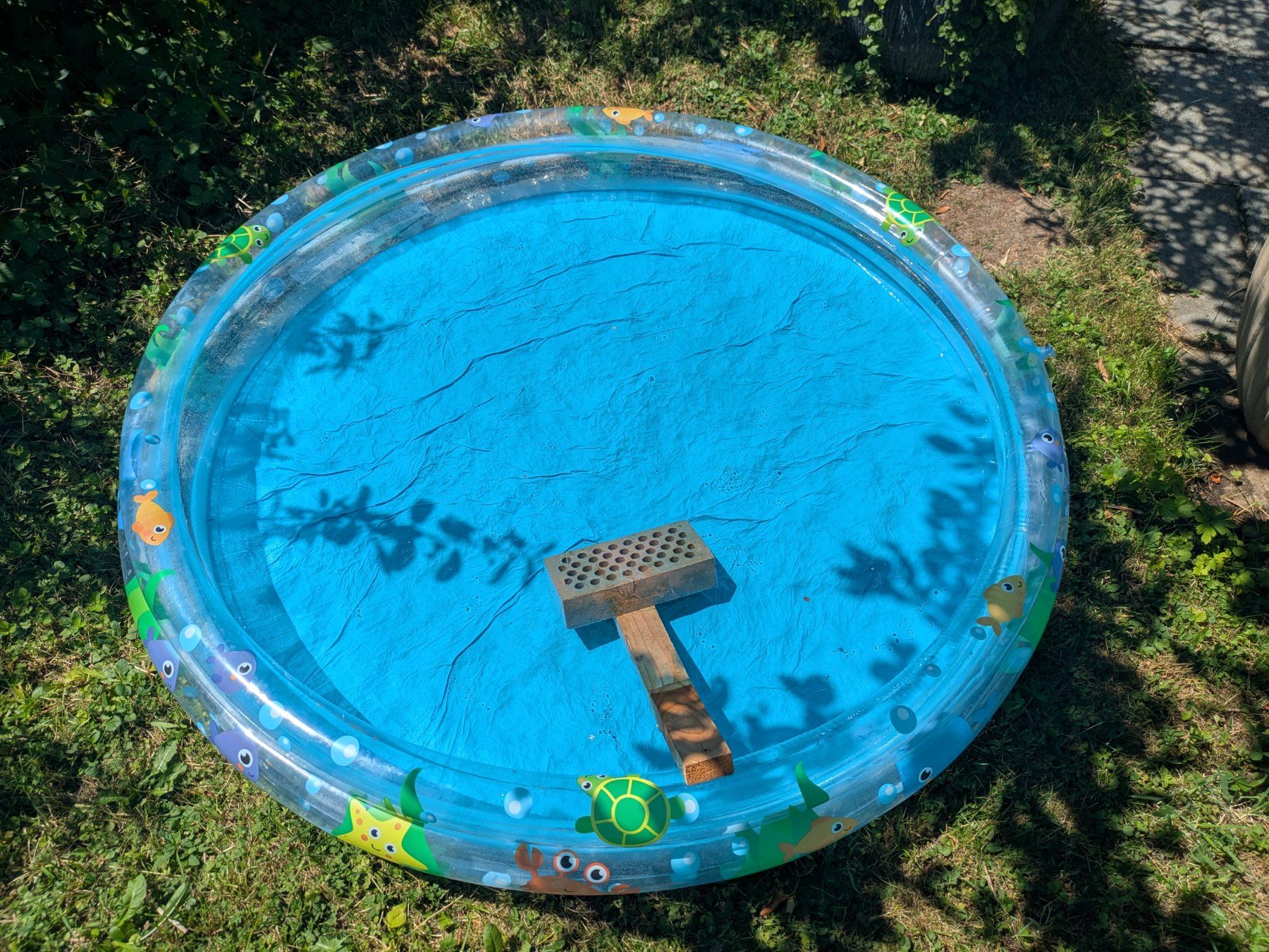 Schwimmbad: Plantschbecken - Kinderbecken – Defekt aus Erlenbach ZH von Skalina 1