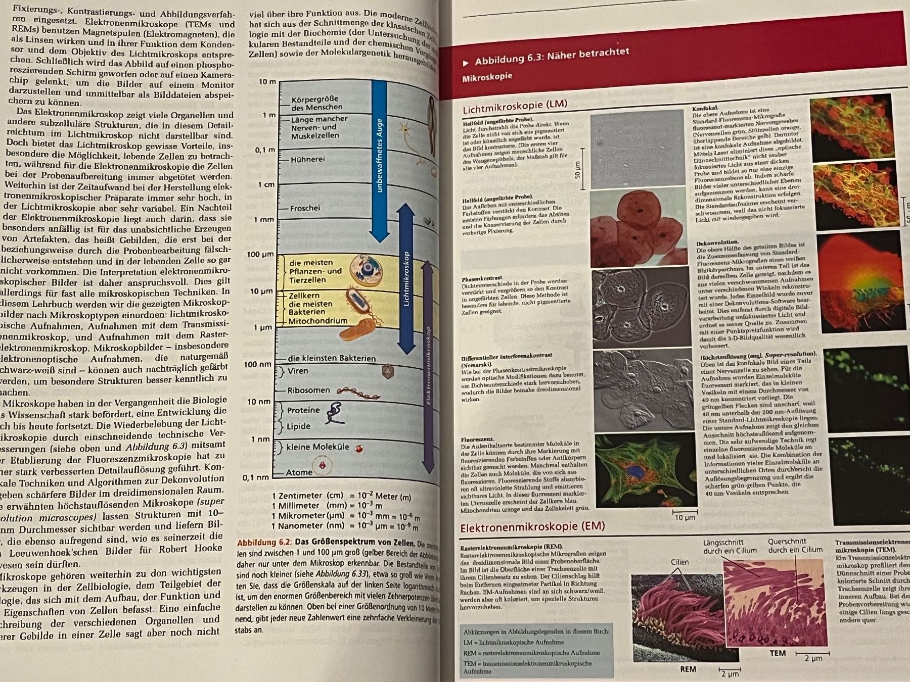 Libri: Biologie Campbell Neu – Nuovo (secondo la descrizione) da Schlieren venduto da abi_lc9g 5
