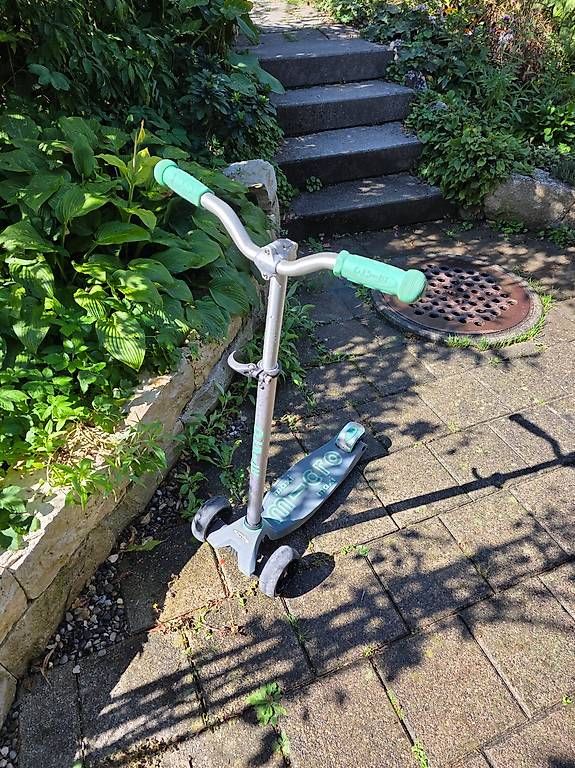 Kickboard: Kickboard Micro Maxi – Gebraucht aus Schaffhausen von schrakbe 3