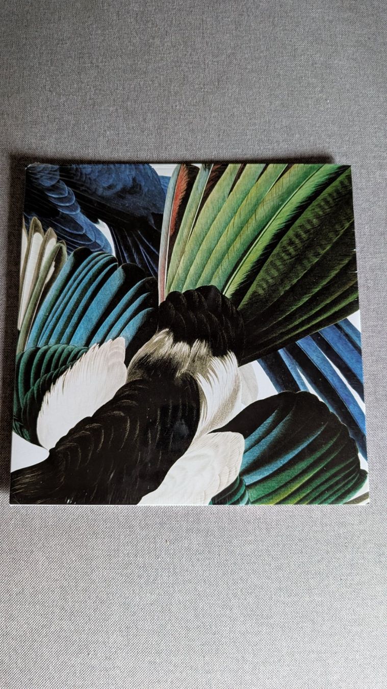 Schallplatten: Dachs - Zu Jeder Stund En Vogelsang LP – Gebraucht aus Steinen von beatstick