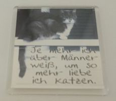 Kühlschrank Magnet Katze mit Spruch 6.5 x 6.5 cm