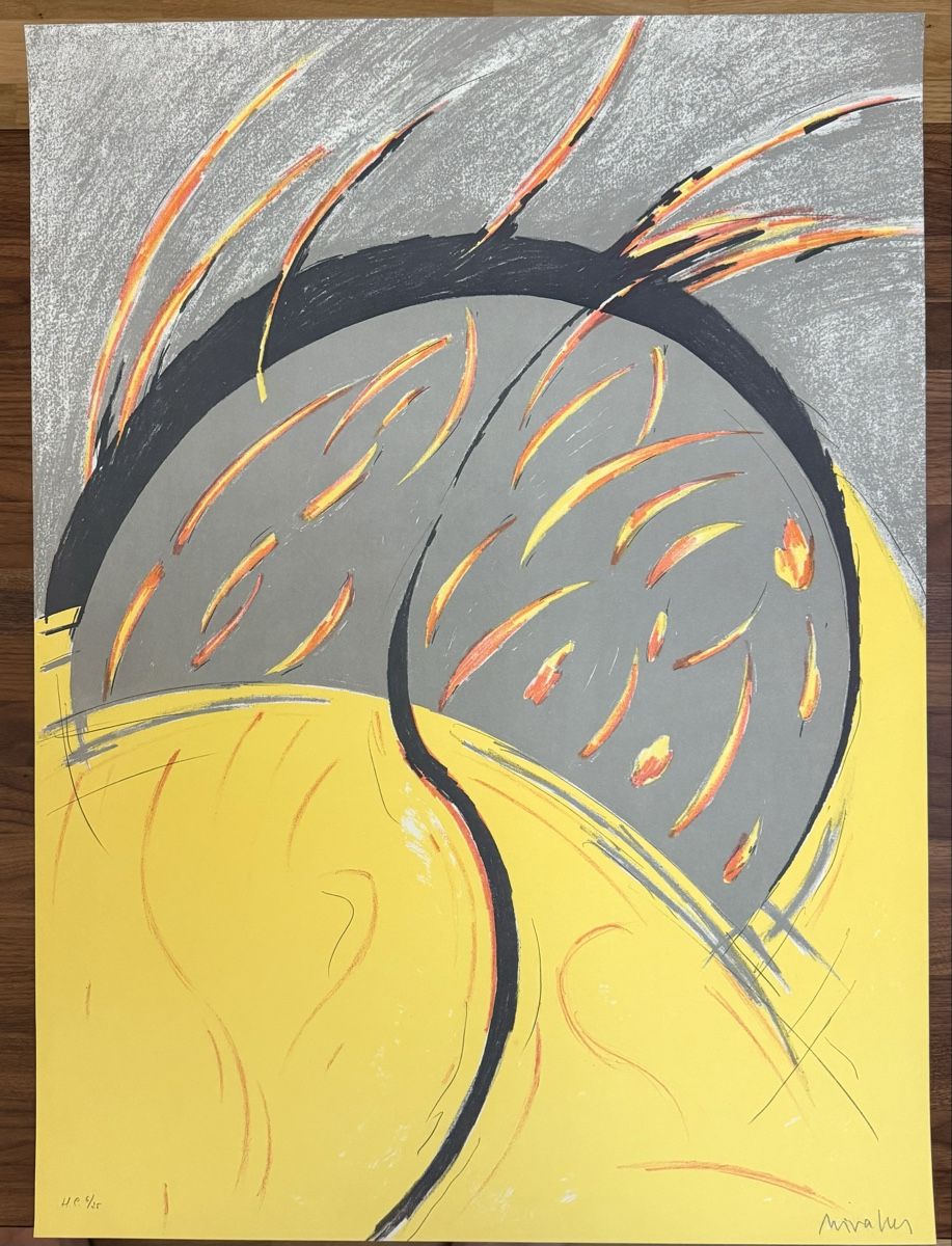 Grafica & Litografie: FINA MIRELLES NOBELL -LITHOGRAPHIE – Usato da Solothurn venduto da NUVICO 5