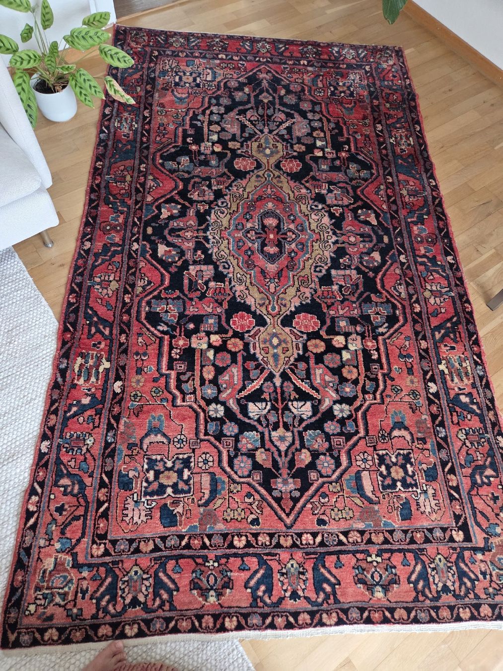 Teppiche: Teppich – Gebraucht aus Zürich von PatriciaAnna 1