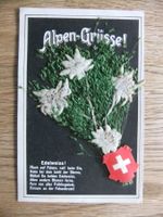AK Alpen-Grüsse mit echten Edelweiss und Pflanzen