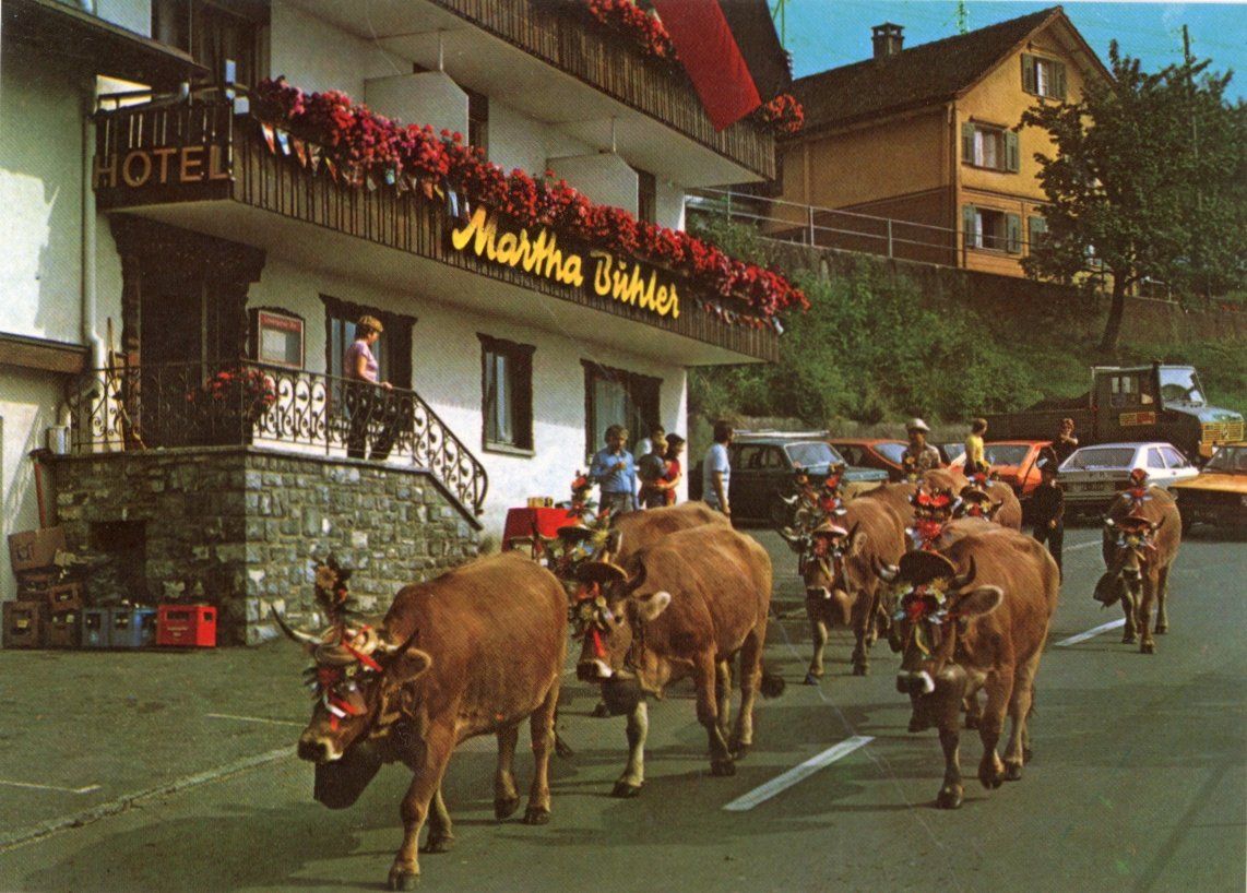 Cartoline postali: Triesenberg    FL  -   Kuhtrieb   /  Hôtel Martha Bühler – Usato da Brig venduto da Valcards54