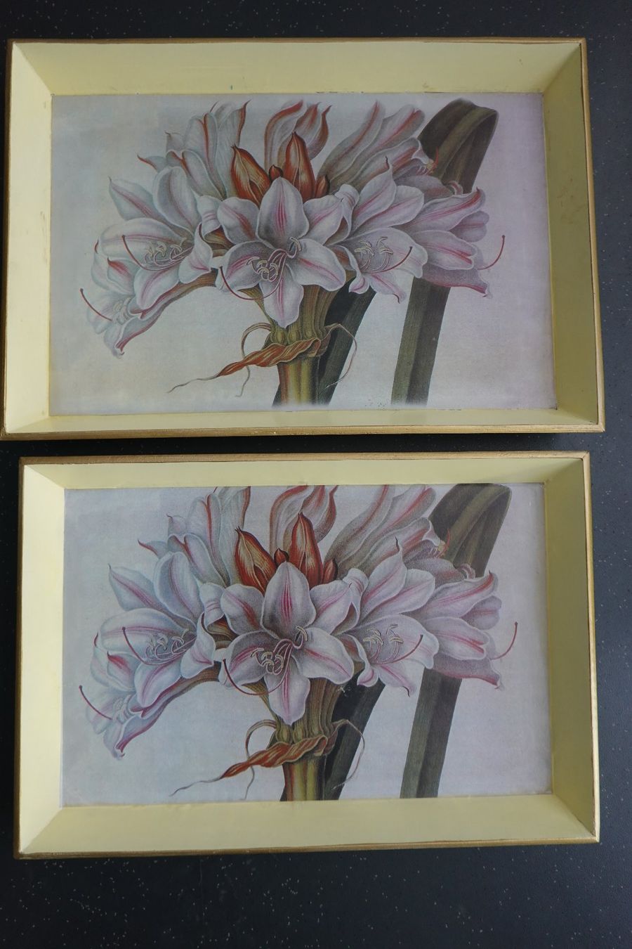 Servierplatten: 2x Tablett Serviertablett mit Blume Amaryllis NEU – Neu (gemäss Beschreibung) aus Jona von simongarden 9