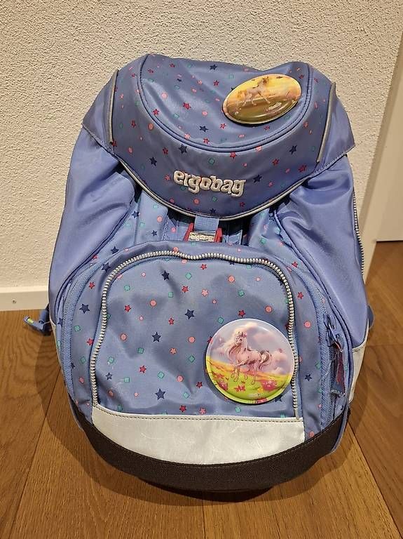 Ergobag Borse & Zaini: Ergobag Schulrucksack Schulsack Schulthek mit Regenschutz – Usato da Mels venduto da Aloha86 2