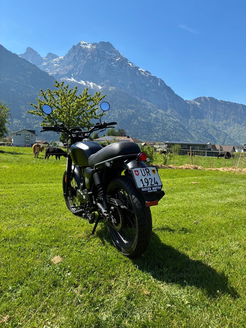 Brixton Motorcycles Strasse: Brixton Felsberg 125, CBS – Gebraucht aus Altdorf UR von nin_6x5x 3