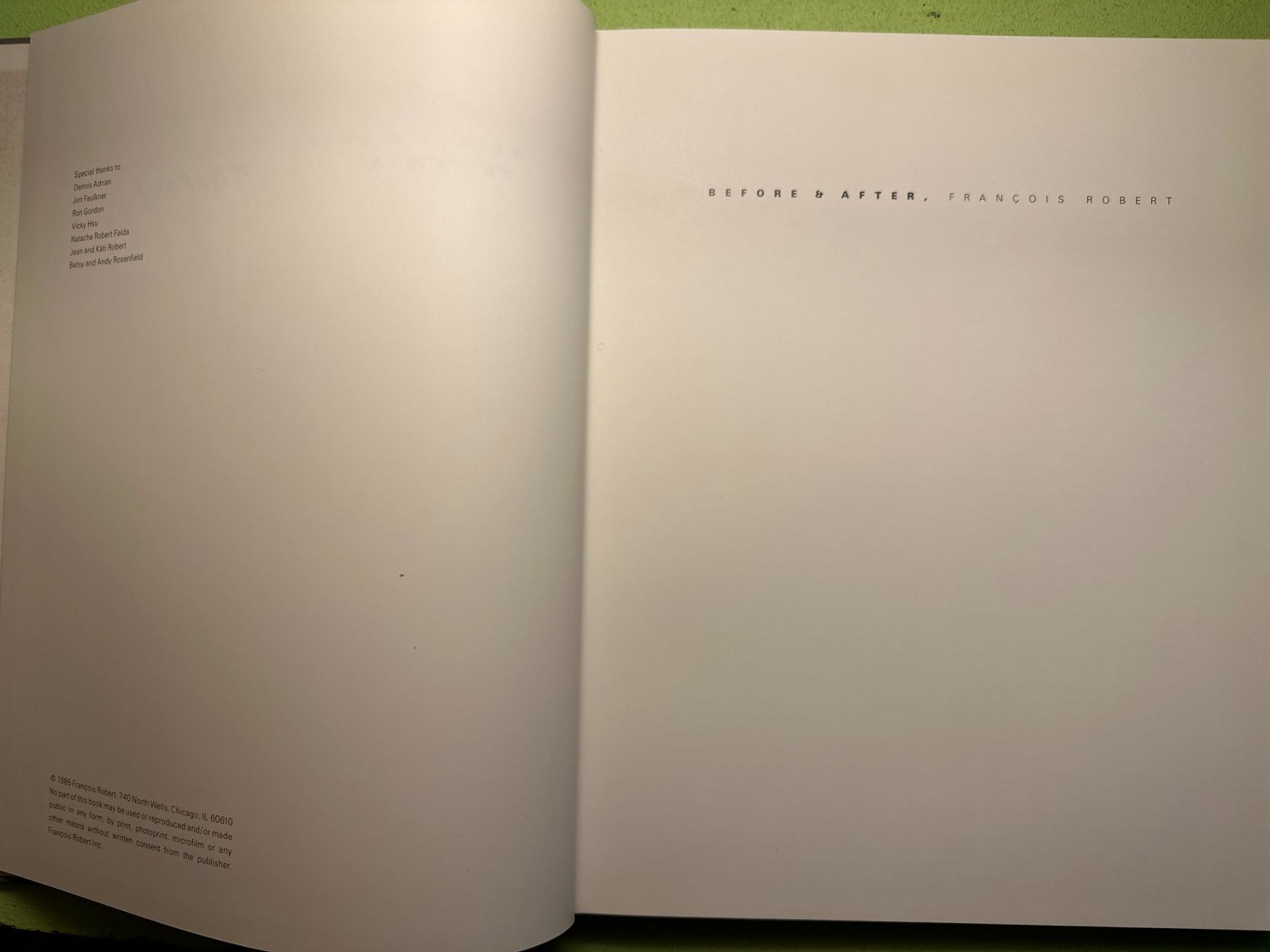 Libri: François Robert: Before & After. – Usato da Zürich venduto da allp 2