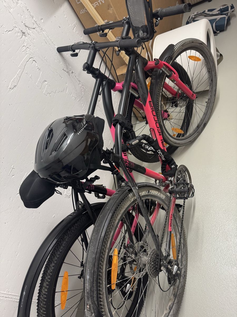 Biciclette: 2 velo - mountain bikes California 52” – Usato da Rorschach venduto da ilo_jxk7