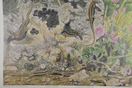 Wandbild/Schulbild Eidechse & Blindschleiche von Hainard