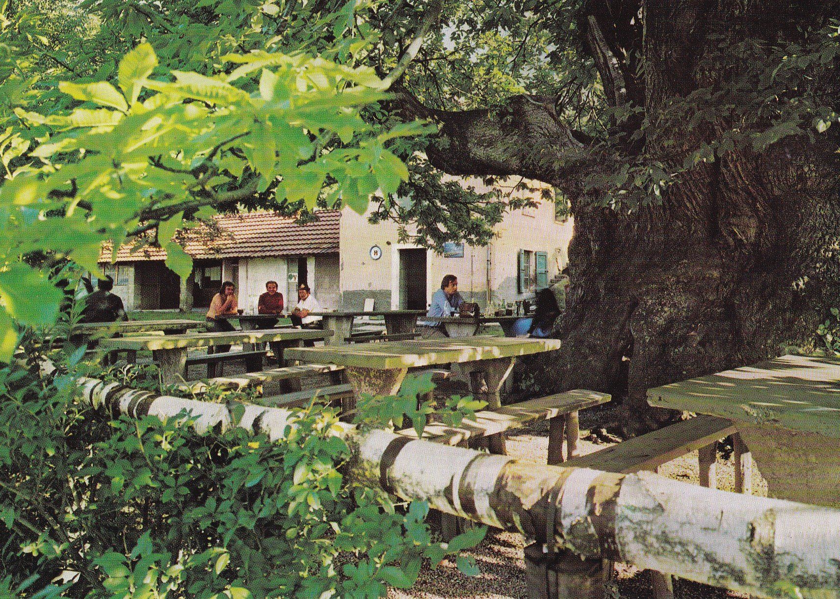 Cartes postales: Trattoria Alpe di Brusino – D'occasion à Cormoret par Pascalll2001