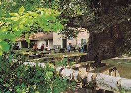 Trattoria Alpe di Brusino