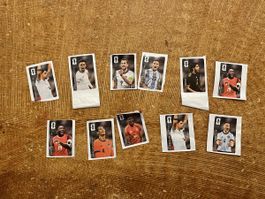 Panini Coca-Cola FIFA World Cup Fussball Sammelsticker