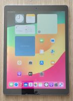Ipad Pro 2 gen WIFI 12,9''  256 GB Speicher  A1670