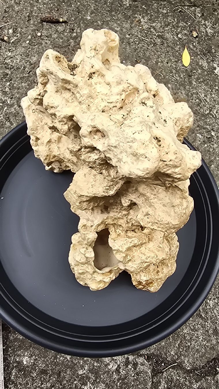 Tutte le decorazioni: Aquarium Deko Stein Korallenstein ca 25 cm hellbeige – Usato da Muttenz venduto da pixopus 3