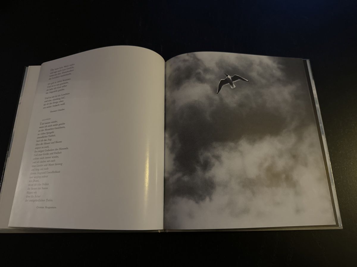 Libri: WOLKEN – Usato da Erstfeld venduto da Mario_boe0 3