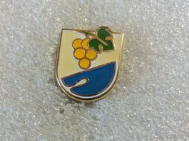 Ansteckpin 111: Wappen