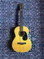 Levin (Marttin) Guitars Model WR34 70ies