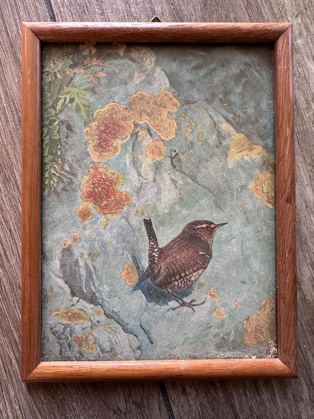 Dipinti: Lot de 4 tableaux avec oiseaux – Usato da Châtillon FR venduto da Karine1453 3