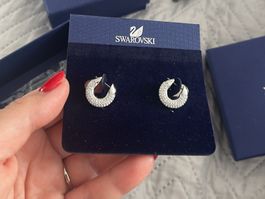 Swarovski Dextera Pavé Ohrringe Neu & Original