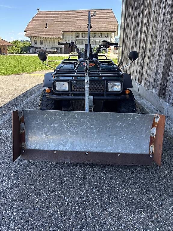 Arctic Cat ATV / Quad: Arctic Cat 454 4X4 – Usato da Oftringen venduto da DarPan 1