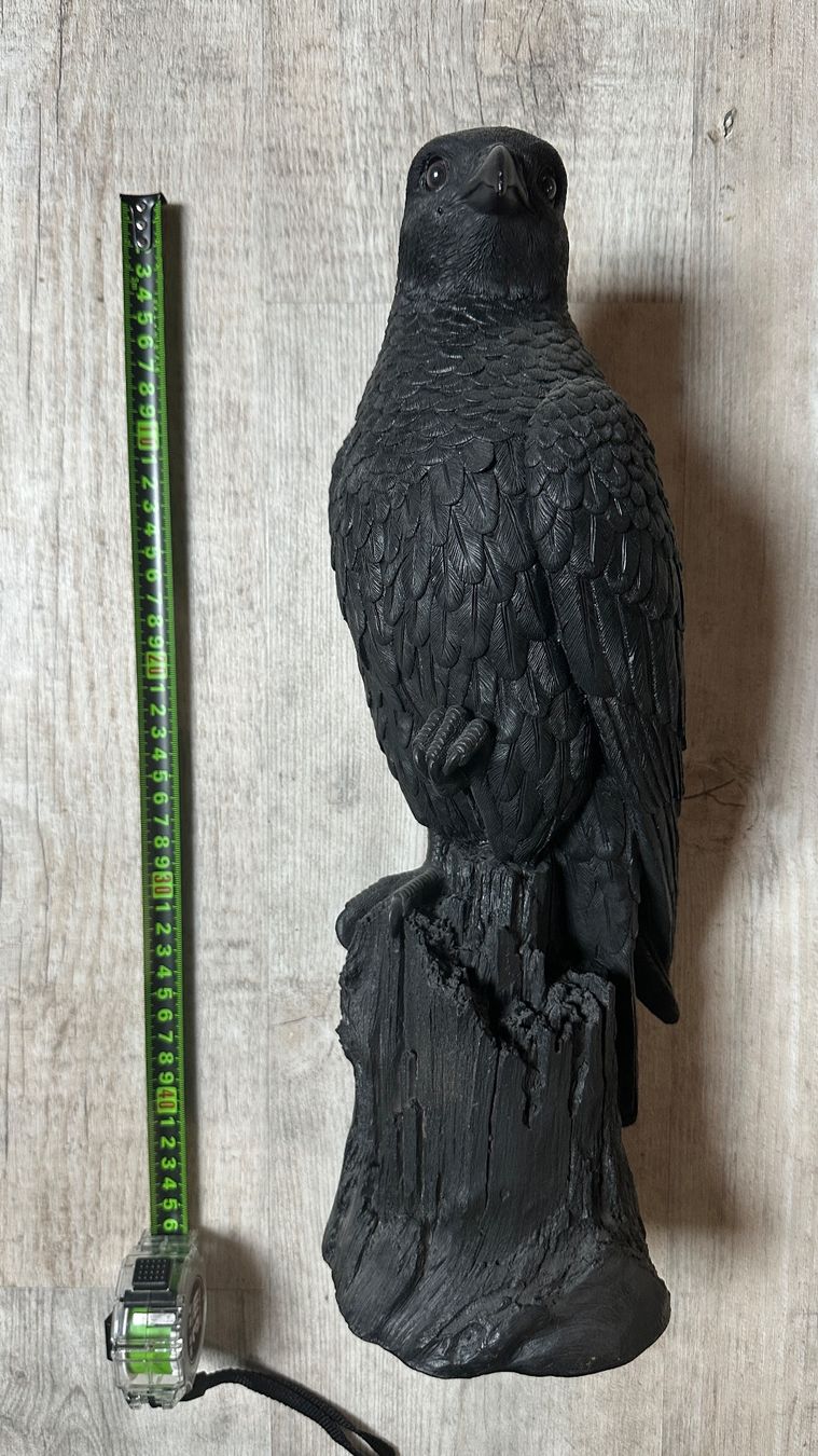 Skulpturen & Statuen: Schwarzer Raubvogel, Skulptur, Figur, Garten Deko – Gebraucht aus Arisdorf von nde_q52j 2