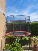 Trampolin mit Sicherheitsnetz, Durchmesser 305cm, top
