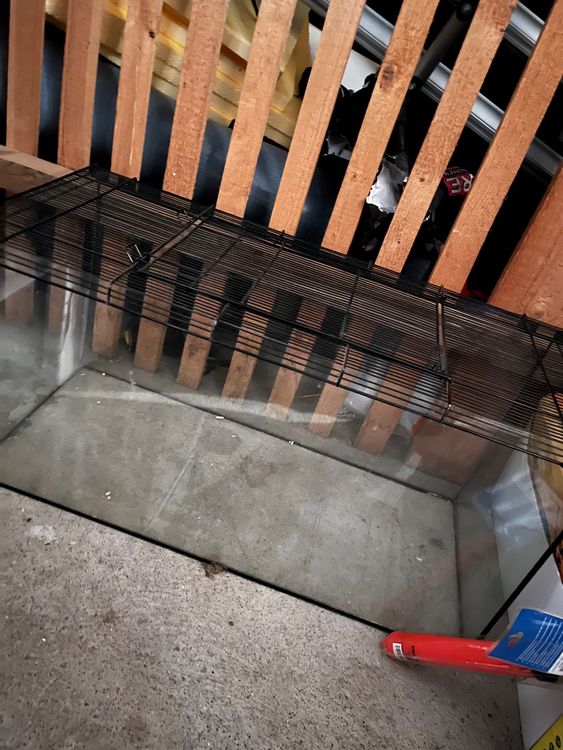 Glasterrarium inkl. Gitterabdeckung 70x40x40cm Kaufen auf Ricardo