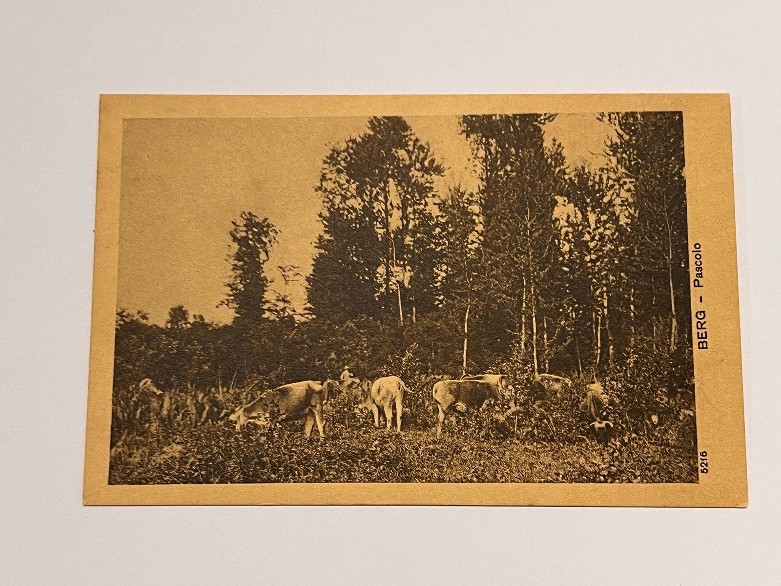 Cartoline postali: Vintage Postkarte - BERG - Pascolo – Usato da Riva san vitale venduto da abd_p86k