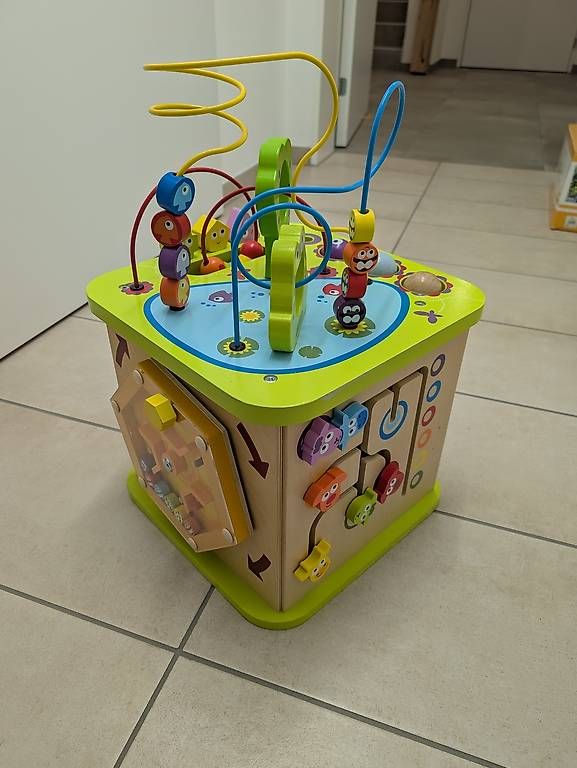Giocattoli: Hape cubo animali – Usato da S. Pietro venduto da mir_qp7q