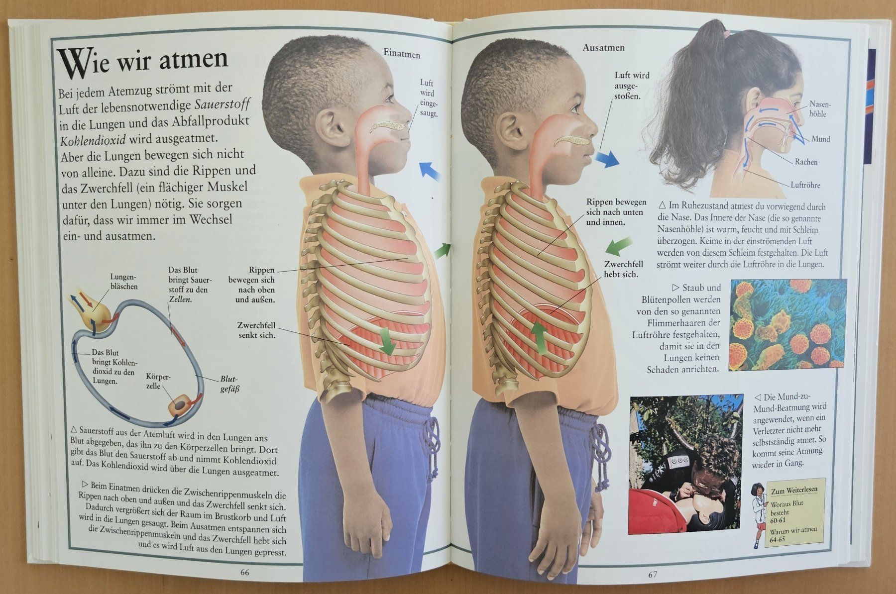 Libri: Kinderlexikon: Mein Körper – Usato da Schaffhausen venduto da asyouwestley 4