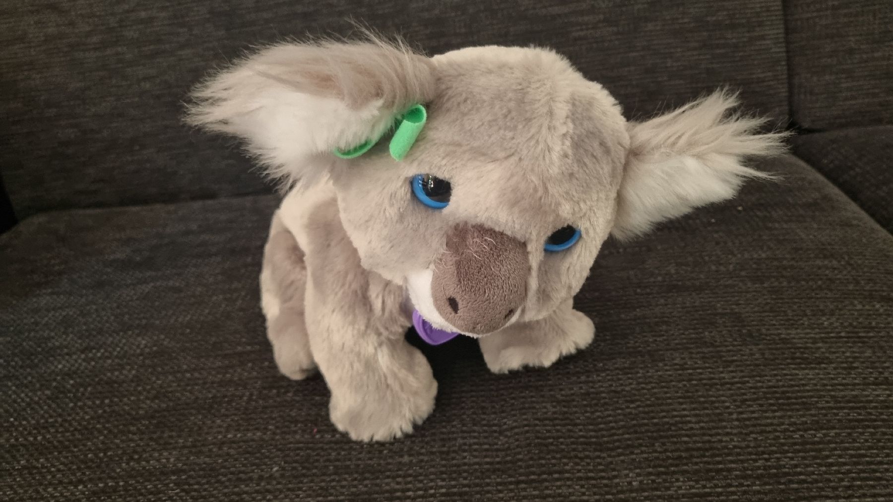 FurReal Jouets: FurReal Koala Pluesch mit Flasche – D'occasion à Winterthur par Pigeonblanc 1