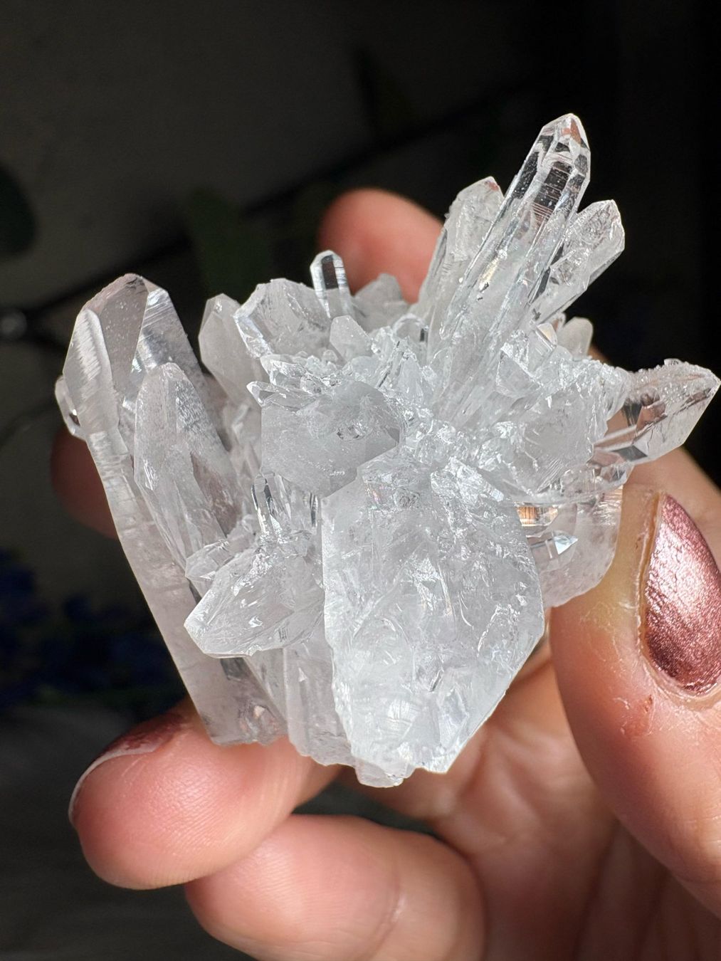 Minerali & Pietre curative: Kolumbianischer Lemurian-Quarz-Cluster – Nuovo (secondo la descrizione) da Neuheim venduto da m.hald 1