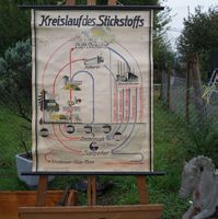 Alte Lehrmittel-Tafel "Kreislauf des Stickstoffs" Rarität!