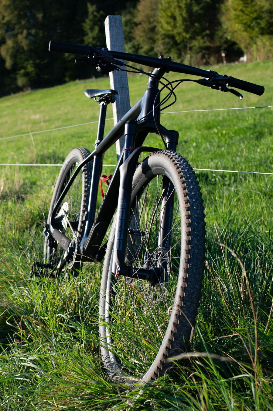 Rose Vélos: Rose Psycho Path 2, MTB, schwarz, Grösse L – D'occasion à Bern par belawoda 3