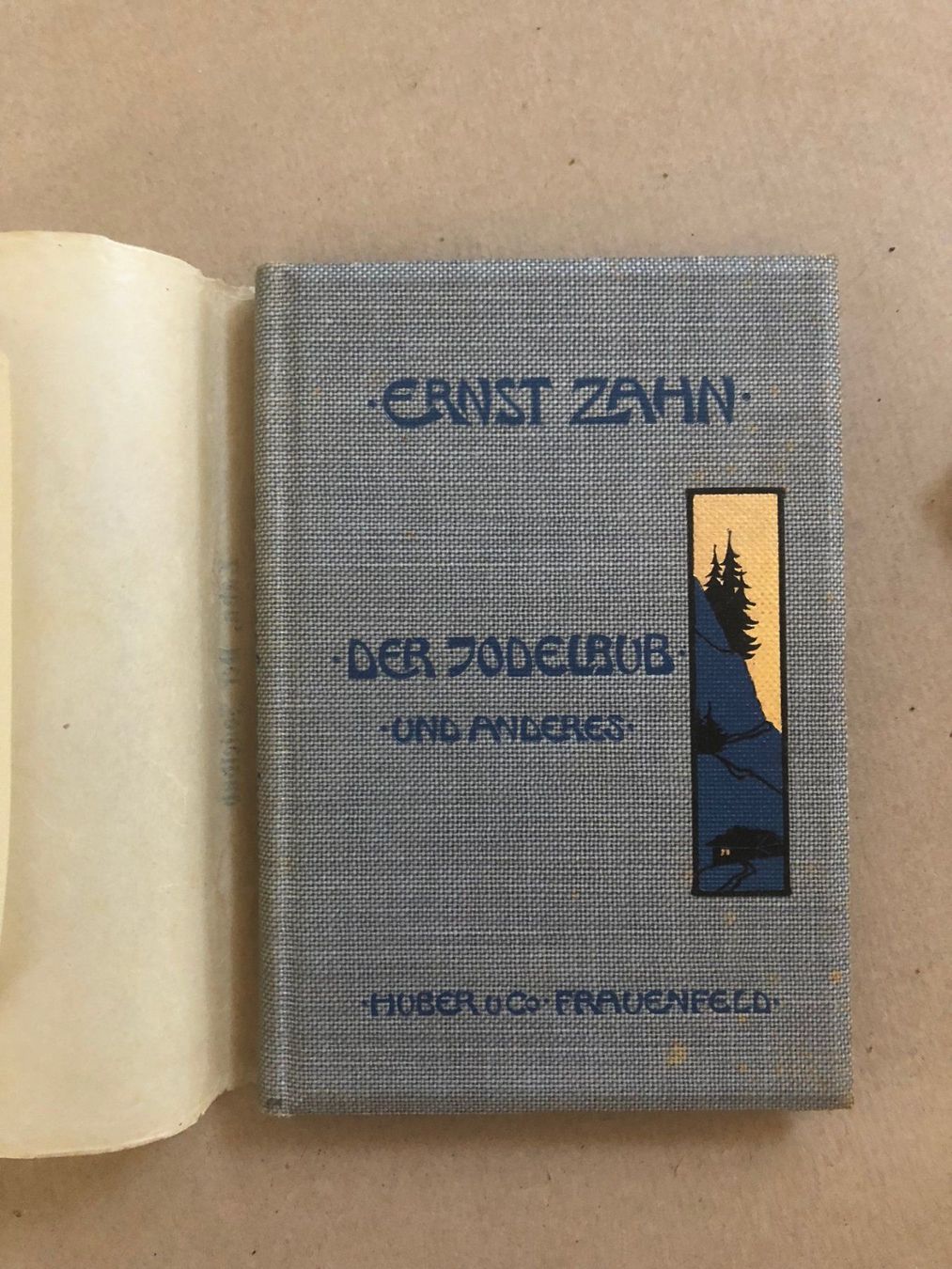 Libri: Ernst Zahn: Der Jodelbub und anderes. 1902 – Usato da Zürich venduto da allp 1