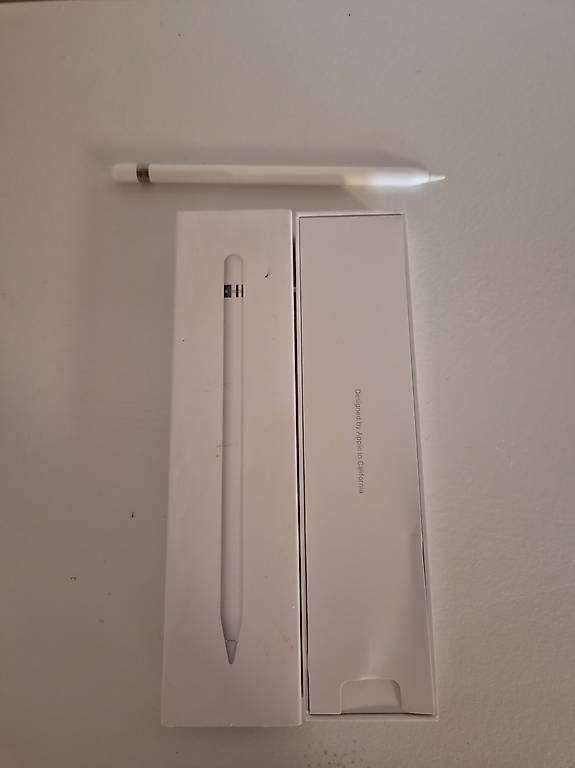 Penna & Evidenziatori: Apple Pencil 1. Generation mit Originalverpackung – Usato da Riniken venduto da ben_mwp5