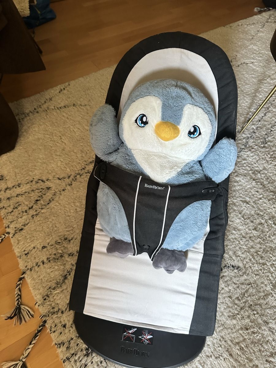 Babybjörn Sdraiette & Sdraiette a dondolo: BabyBjörn Wippe grau/schwarz in Zürich – Usato da Zürich venduto da Flokke33 2