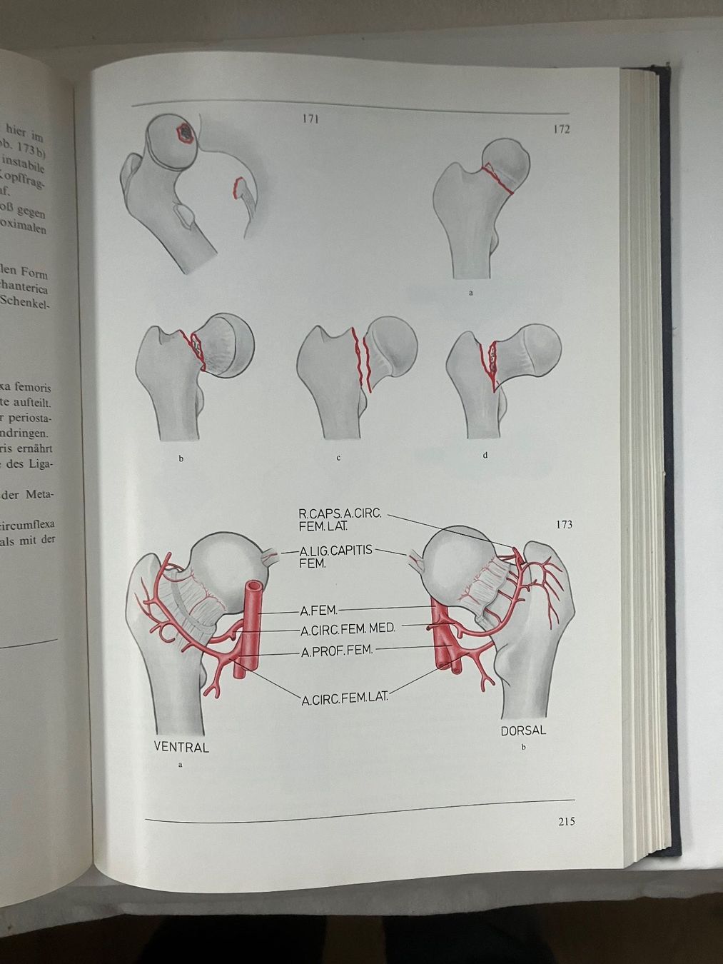 Libri: Manual der Osteosynthese Mülle.Allgöwer.SchneiderWillenegger – Usato da ZUERICH venduto da Carolus1 7