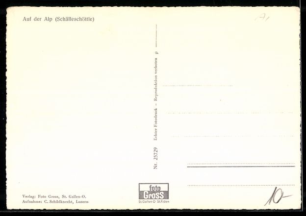 Cartoline postali: Foto-AK Auf der Alp, Schälleschöttle,  – Usato da Berlin venduto da bartko-reher 1